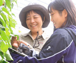 農学部