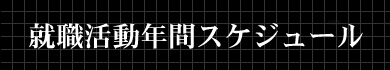 AENԃXPW[